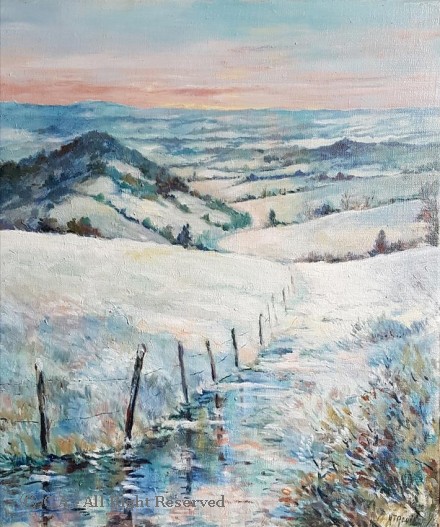Auvergne sous la neige