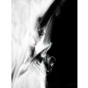 Huile 11