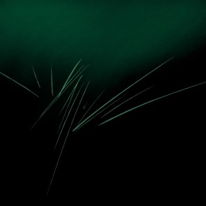 Abstract 27